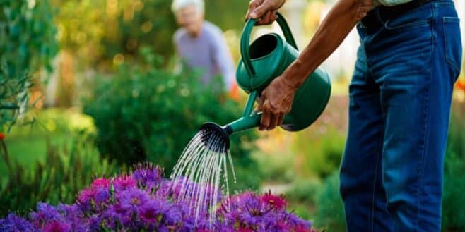Peu de jardiniers connaissent ces 3 techniques pour arroser son jardin même pendant les restrictions d'eau