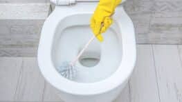 « Plus une trace de tartre » : l’astuce toute simple de Souad Romero (Familles nombreuses) pour des toilettes impeccables