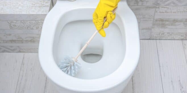 « Plus une trace de tartre » : l’astuce toute simple de Souad Romero (Familles nombreuses) pour des toilettes impeccables