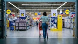 Ruée chez Lidl pour ce ventilateur sans fil à moins de 15 euros
