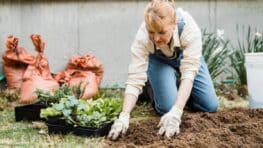 Vous le jetez sans y penser mais ce déchet booste la survie de vos plantes par fortes chaleurs selon ces jardiniers