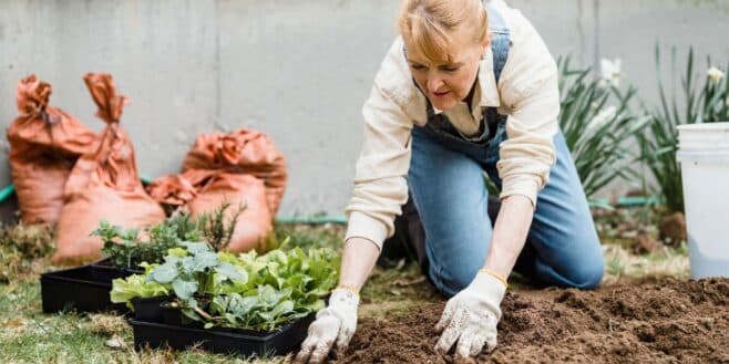 Vous le jetez sans y penser mais ce déchet booste la survie de vos plantes par fortes chaleurs selon ces jardiniers