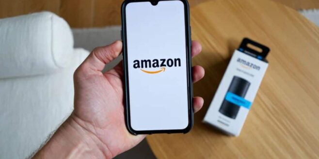 Amazon : des maisons toutes équipées de 1 à 4 chambres à moins de 10 000 €