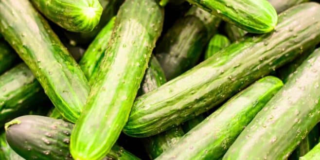Attention si vous avez acheté ces concombres chez Leclerc, il faut absolument les rapporter