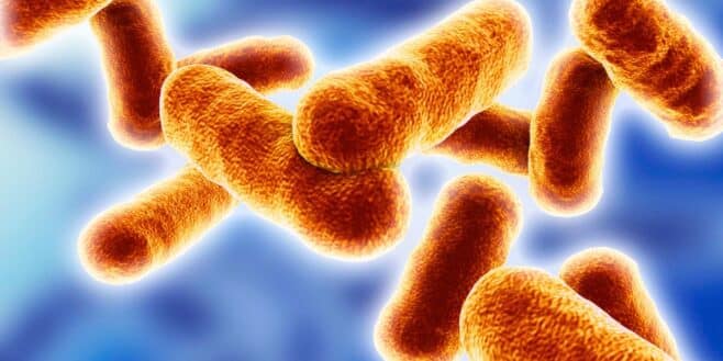 Cet accessoire que tout le monde oublie de laver en hiver est un vrai nid à microbes