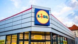 Cet appareil Lidl à 11 euros qui va changer votre vie en cuisine pour faire des desserts et des pizzas
