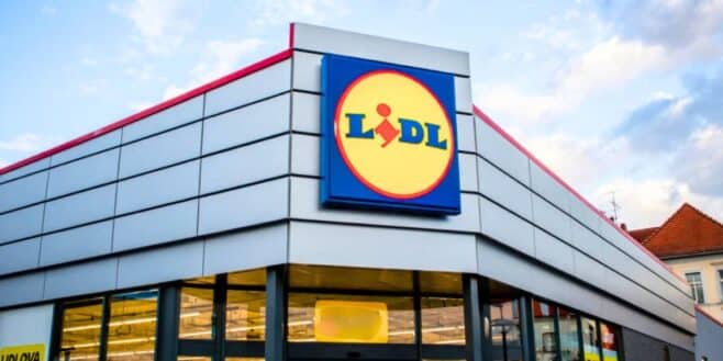 Cet appareil Lidl à 11 euros qui va changer votre vie en cuisine pour faire des desserts et des pizzas