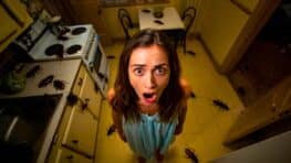 Cette astuce méconnue pour venir à bout des cafards définitivement