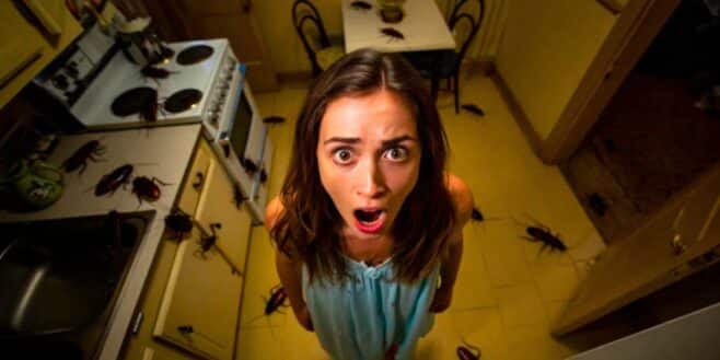 Cette astuce méconnue pour venir à bout des cafards définitivement