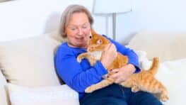 Chat : ces 4 races idéales à adopter pour les plus de 70 ans