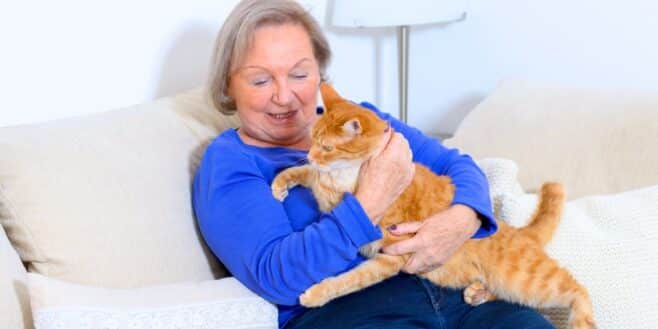 Chat : ces 4 races idéales à adopter pour les plus de 70 ans