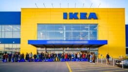 Ikea sort le protège-oreiller parfait qui allie confort, hygiène et protection