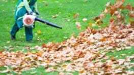 Jardin : Lidl lance un souffleur à feuilles Parkside pratique et pas cher pour l’automne