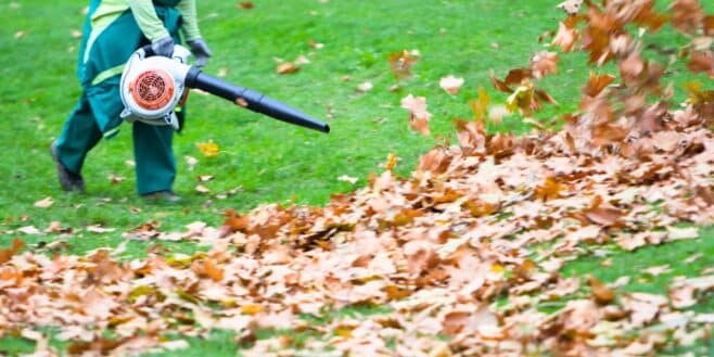 Jardin : Lidl lance un souffleur à feuilles Parkside pratique et pas cher pour l’automne