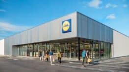 LIDL propose le mixeur de 350 W de puissance le plus stylé du marché à moins de 20 euros