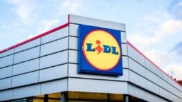 LIDL provoque l'euphorie avec ces 3 offres Silvercrest à moins de 22 euros pour les French Days