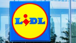L'accessoire LIDL parfait si vous manquez d'espace de rangement