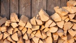 L'astuce géniale pour savoir si votre bois de chauffage est sec pour l'hiver