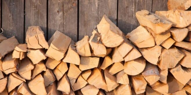 L'astuce géniale pour savoir si votre bois de chauffage est sec pour l'hiver