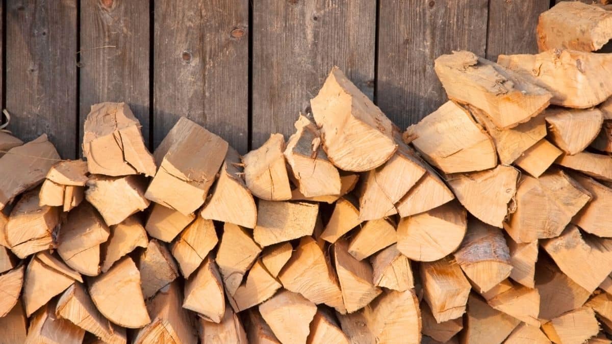L'astuce géniale pour savoir si votre bois de chauffage est sec pour l — free download