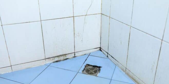 L’astuce simple et efficace pour éliminer la saleté incrustée dans la douche