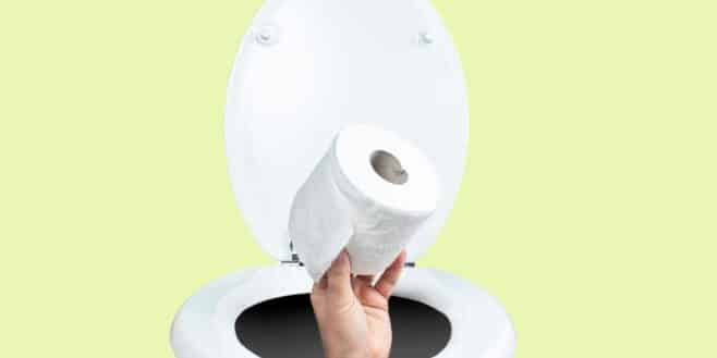 Le papier toilette vraiment être responsable des mycoses vaginales ?