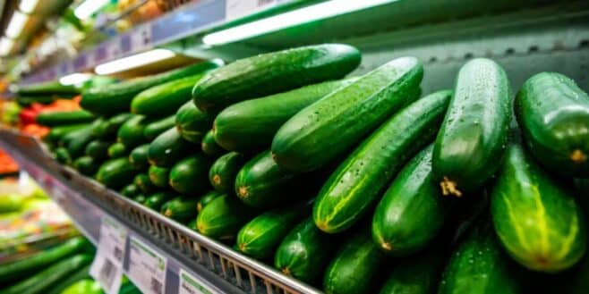 Leclerc, Carrefour, U et d'autres supermarchés rappellent en urgence ces concombres