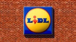 Lidl : rappel urgent de ce poisson vendu dans plusieurs magasins en France et contaminé par la Listeria