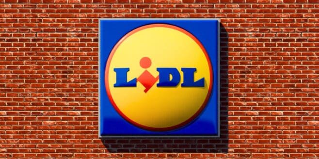 Lidl : rappel urgent de ce poisson vendu dans plusieurs magasins en France et contaminé par la Listeria