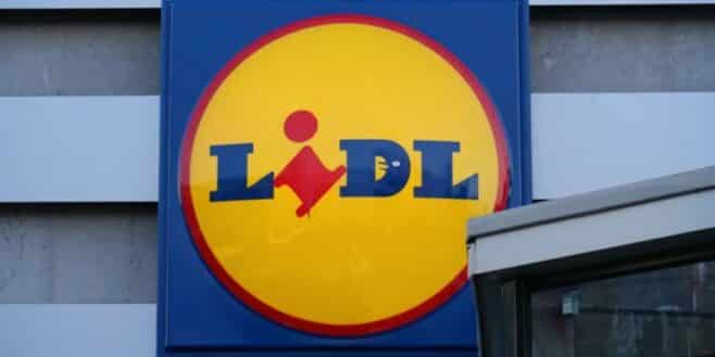 Lidl relance son mini lave-vaisselle sans raccordement, pratique et pas cher