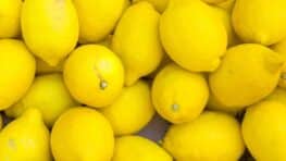 « On en trouve partout en rayon » : ces citrons dépassent les seuils autorisés de pesticides