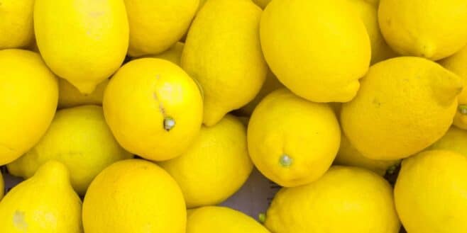 « On en trouve partout en rayon » : ces citrons dépassent les seuils autorisés de pesticides