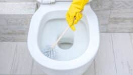 « Plus besoin de produits chimiques » : l’astuce simple pour des WC 100 % propres et naturels