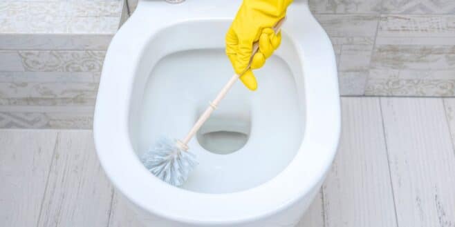« Plus besoin de produits chimiques » : l’astuce simple pour des WC 100 % propres et naturels