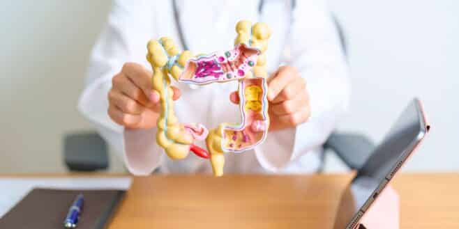 Santé digestive : comment soulager le syndrome du côlon irritable au quotidien