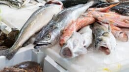 Santé : le poisson populaire recommandé par un docteur pour protéger vos artères