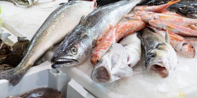 Santé : le poisson populaire recommandé par un docteur pour protéger vos artères