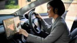 Automobilistes: : l’objet que les voleurs visent en priorité dans votre voiture (et ce n’est pas ce que vous croyez)