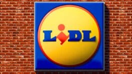 Tout le monde s'arrache ce tapis de bain LIDL qui ne ressemble à aucun autre