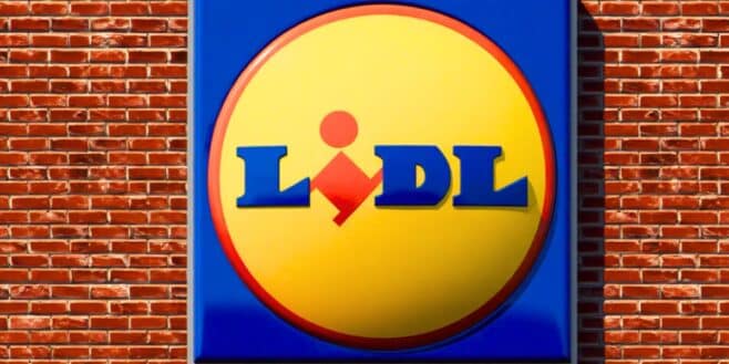 Tout le monde s'arrache ce tapis de bain LIDL qui ne ressemble à aucun autre