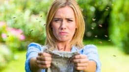 Vos vieux torchons peuvent vous aider à éradiquer les insectes et voici comment