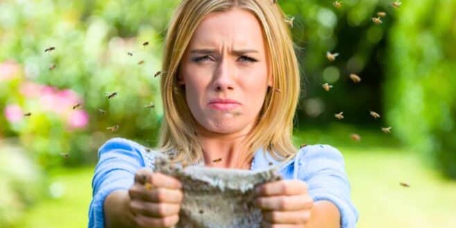 Vos vieux torchons peuvent vous aider à éradiquer les insectes et voici comment