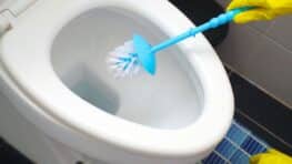 « 80 % des gens se trompent » : l’erreur qui empêche le bicarbonate de bien nettoyer vos toilettes