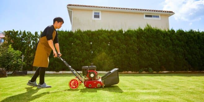 Avoir un jardin toujours impeccable c'est possible grâce à cette tondeuse Dreame