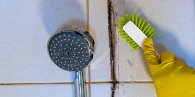 Ces erreurs dans votre salle de bain entraînent des moisissures et voici comment les éviter