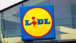 Cette nouveauté Lidl à moins de 20 euros fait un carton dans toute la France