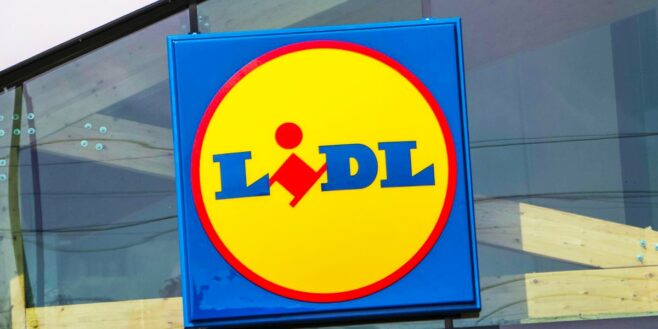 Cette nouveauté Lidl à moins de 20 euros fait un carton dans toute la France