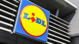 Cette nouveauté Lidl pour la maison cartonne depuis sa sortie
