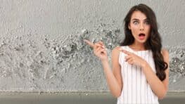 Cette technique méconnue pour faire disparaître l'humidité de votre logement