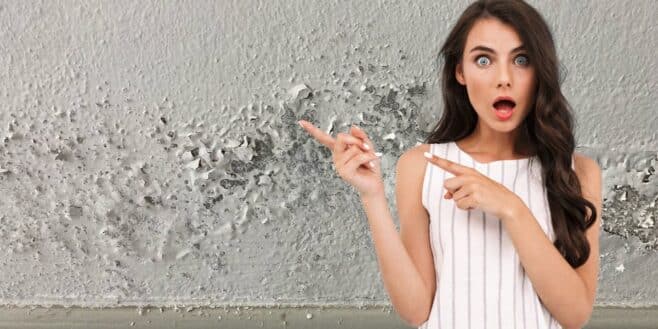 Cette technique méconnue pour faire disparaître l'humidité de votre logement